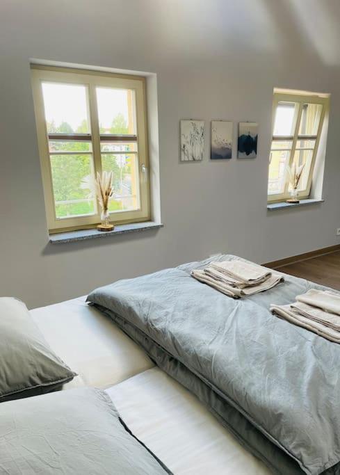 Traumvilla Im Herzen Hainichens Exterior foto